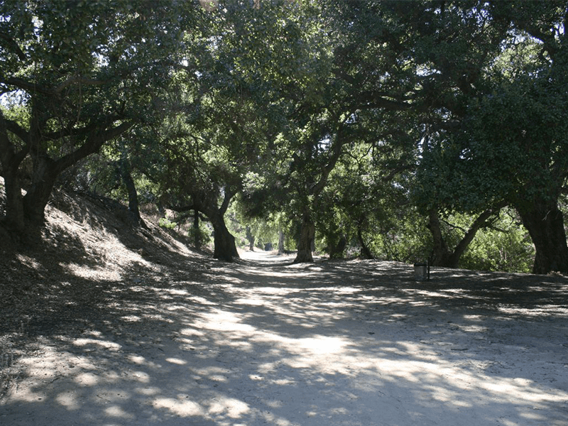 Corriganville Park shaded pathway