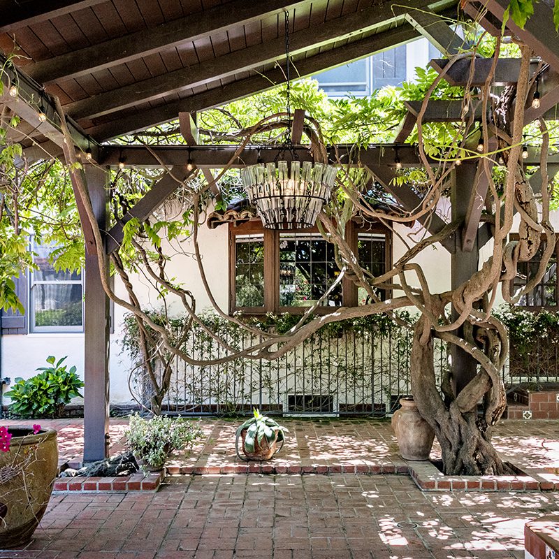 A brick patio with a tree growing out of it.