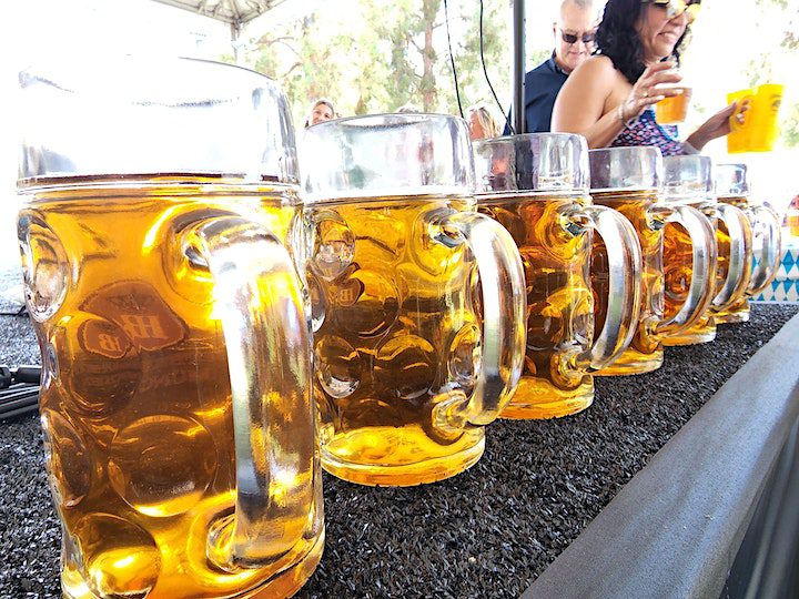 A row of beer mugs.
