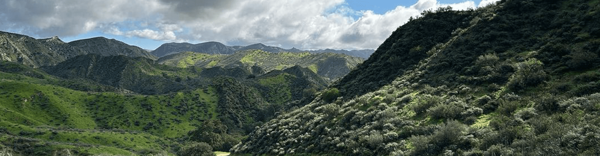 Image of Tapo Canyon trail