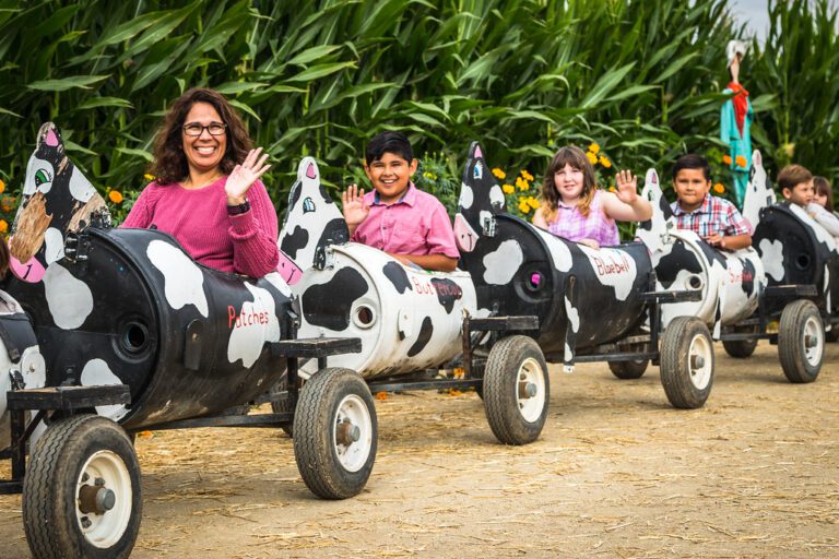 Fun things to do with kids in Simi Valley