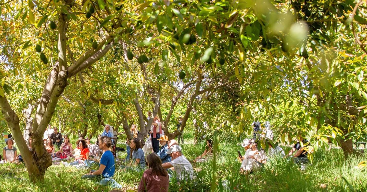 People enjoying a sound bath meditation session in a lush orchard setting in Simi Valley.