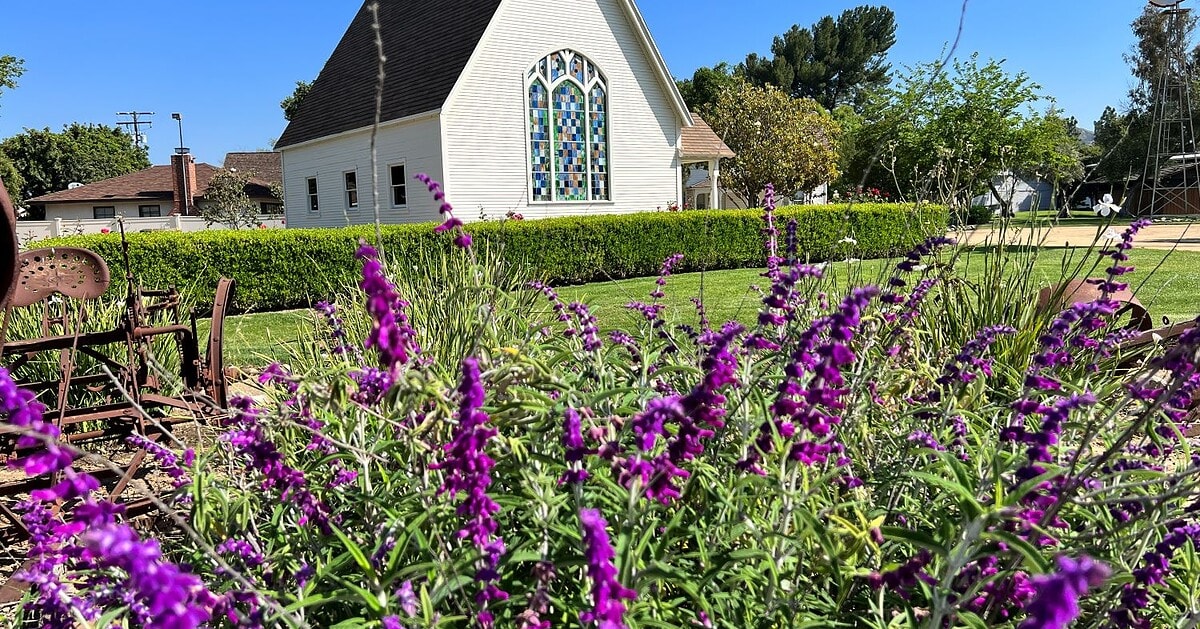 Beautiful church in Simi Valley surrounded by vibrant purple flowers and lush greenery.