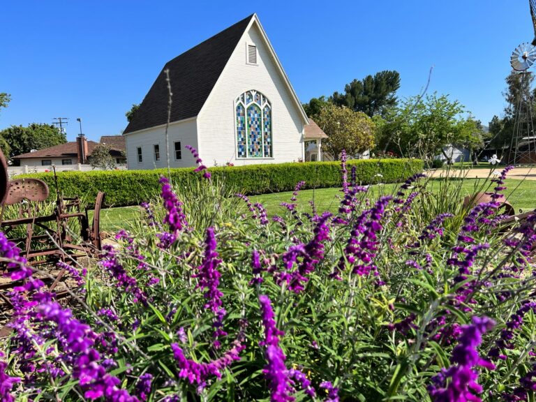 Beautiful church in Simi Valley surrounded by vibrant purple flowers and lush greenery.