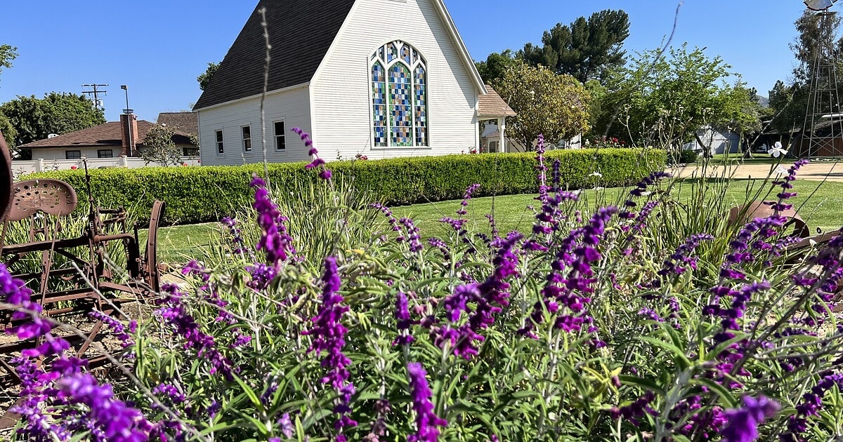 Beautiful church in Simi Valley surrounded by vibrant purple flowers and lush greenery.