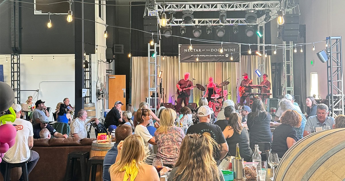 Live band performing at Nectar of the Dogs during trivia night in Simi Valley.