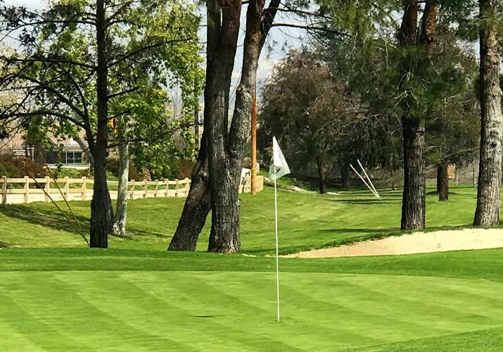 Sinaloa Golf Header