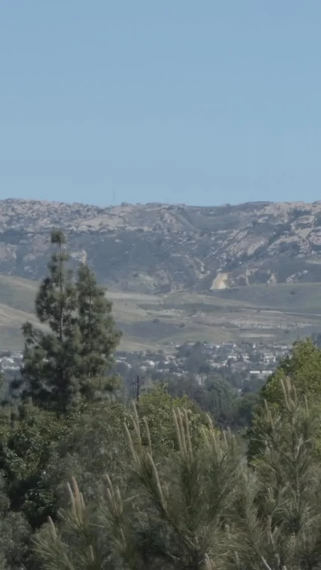 One day. Endless reasons to love Simi Valley.

☕ Start with iced coffee at @makennakoffee
🏛️ Step inside history at the @reaganfoundation
🍽️ Patio lunch at The Junkyard Café
☕ Start with iced coffee at @makennakoffee
🌿 Wander Corriganville Park -or- ⛸️ Skate at the @Iceoplex
🍽️ Dinner at @caffenoor.sv
😴 Unwind at your hotel, Best Western Posada Royale

From first sip to last bite, this is Simi Valley done right.