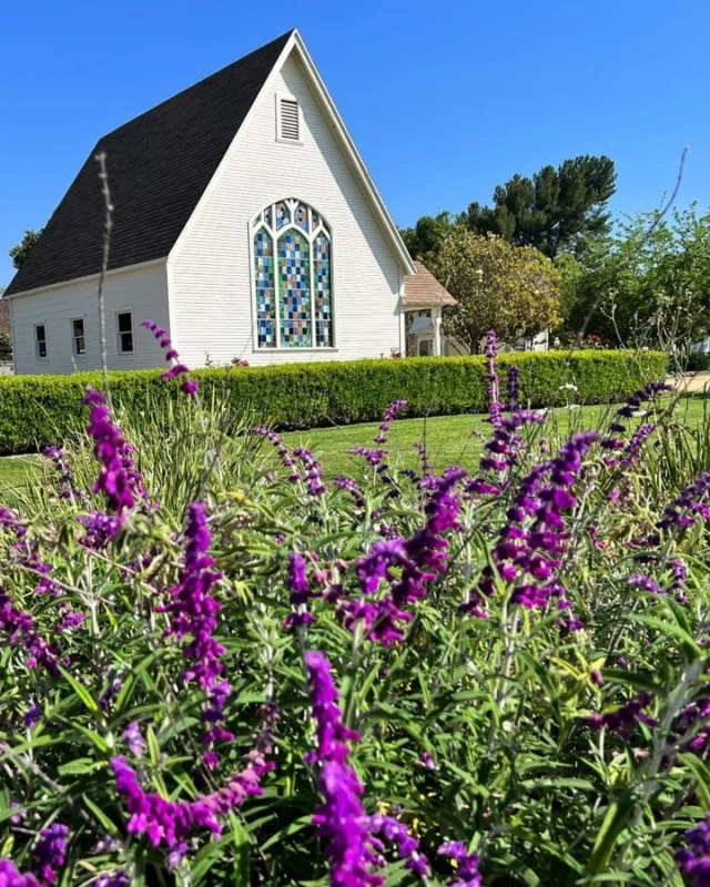 Explore Simi Valley’s creative side!

From pioneer life at Strathearn Historical Park & Museum to unique spots like the @skateboardinghalloffame, Simi is overflowing with arts and culture. 

▶️We'll DM you the full list of places to explore, just drop "ARTS" in the comments.