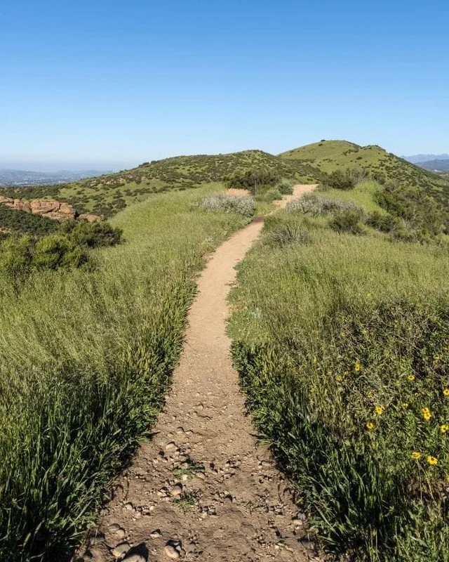 Your perfect outdoor itinerary in Simi Valley.🔽

☀️Sunrise hike
🍽️Lunch on an outdoor patio
👙Poolside recharge at your Simi hotel
🍉Sunset picnic to cap the day

Ready to plan your Simi Valley adventure? 

Comment "OUTDOORS" and we'll DM you a customizable itinerary to plan your day in the sunshine.