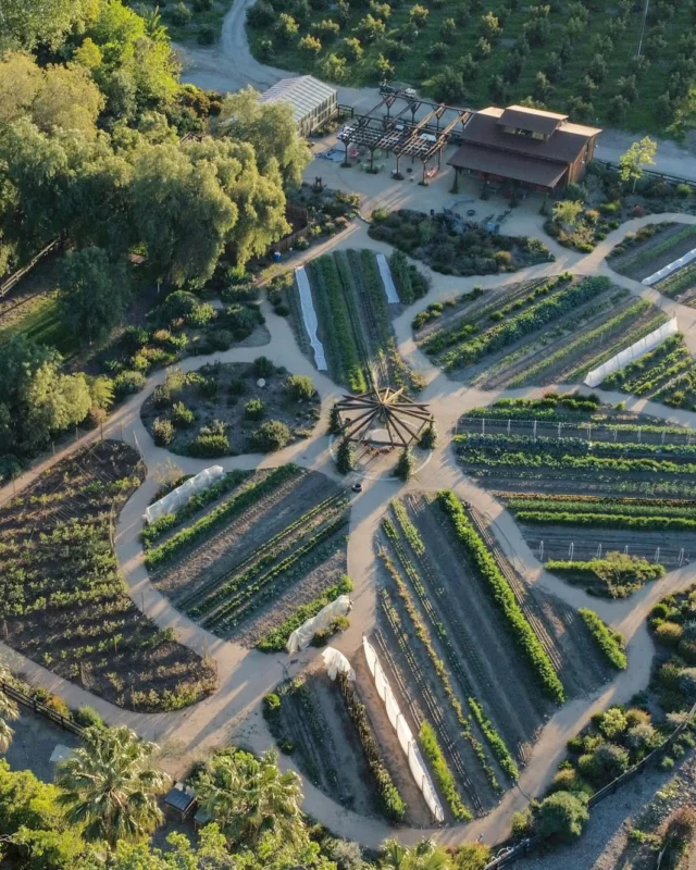 Looking for a memory-making kind of day in Simi Valley? 🚜

Take the crew to Apricot Lane Farms for a Seasonal Farm Tour that’s as charming as it is fun. Think fresh air, friendly animals, and plenty of “wow, look at that!” moments. 

Tours run Saturdays at 9:00am and 1:00pm.

Comment "APRICOT" and we'll DM you a guide to plan your visit.

📷 @apricotlanefarms