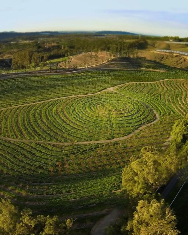 Add a little farm time to your fall getaway in Simi Valley.

Plan a Saturday morning at Apricot Lane Farms and explore 234 acres of regenerative farmland. 

Stroll through the Fruit Basket orchard, see the wildlife ponds and pastures, meet farm animals including Itty the Pig, and consider buying a  box of fresh avocados.

📅 Saturdays
⏰ 9:00–11:00 am
🚶 Guided 2-hour walking tour
📍 10700 Broadway Road, Moorpark
🎟️ $60 | Ages 6+ recommended

Comment "APRICOT" to plan your visit.

📷 @apricotlanefarms