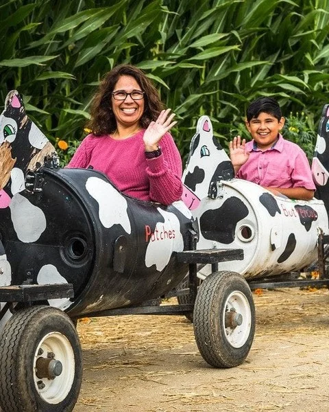 🐐 Get up close with animals in and around Simi Valley! 

Feed baby goats and meet alpacas at @underwoodfamilyfarms or watch student trainers work with tigers at @theteachingzoomc. 

Comment "ANIMAL" and we'll DM a guide to plot your itinerary.